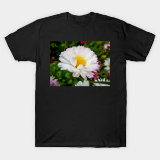 White Daisy Flower T-Shirt